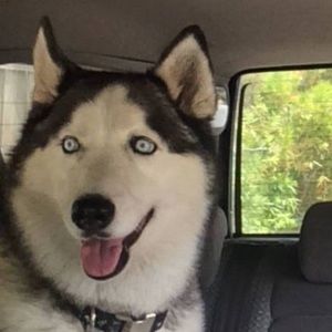 Meet your Posher, Heidi